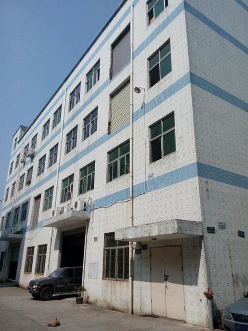 廣州市廠房結(jié)構(gòu)安全檢測公司哪家正規(guī)？工程設(shè)計(jì)需重視專業(yè)檢測